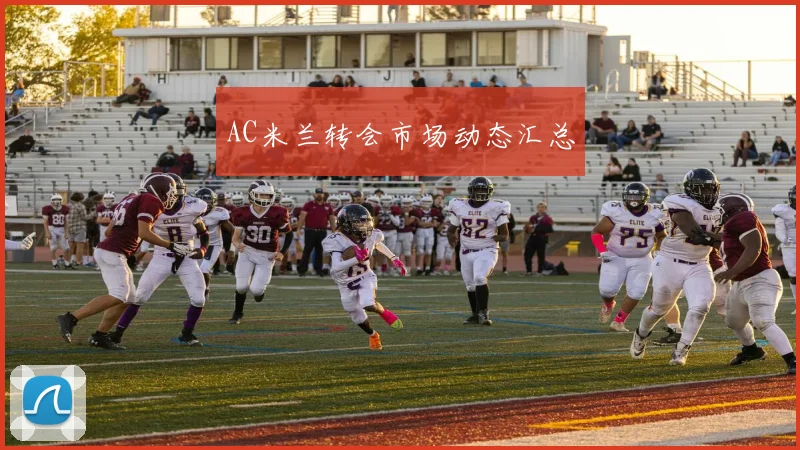 AC米兰转会市场动态汇总